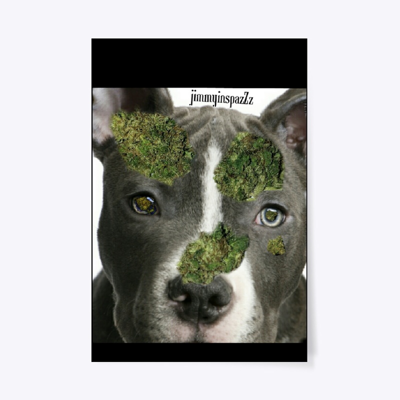 jimmyinspazZz 'Pitbull' Collection #1