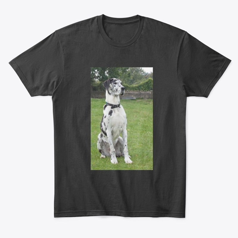 Great Dane T Shirt