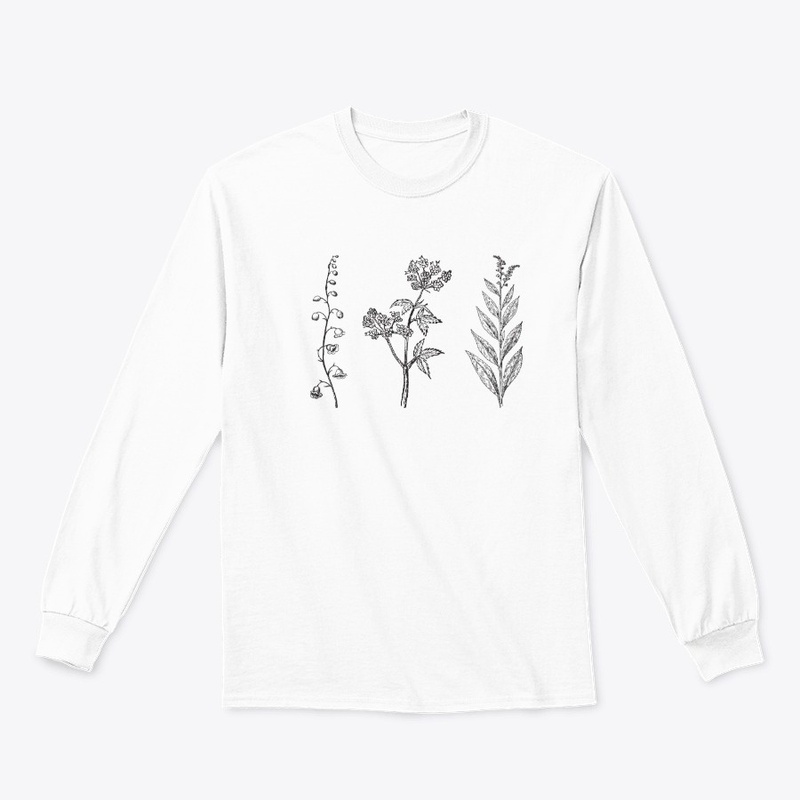 Casual Plants