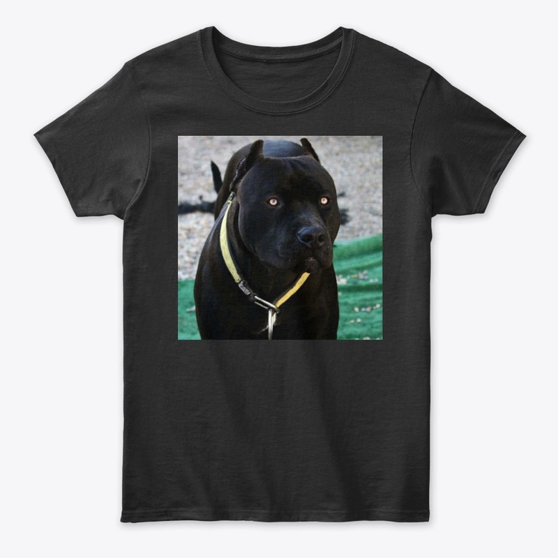 Pitbulls Black