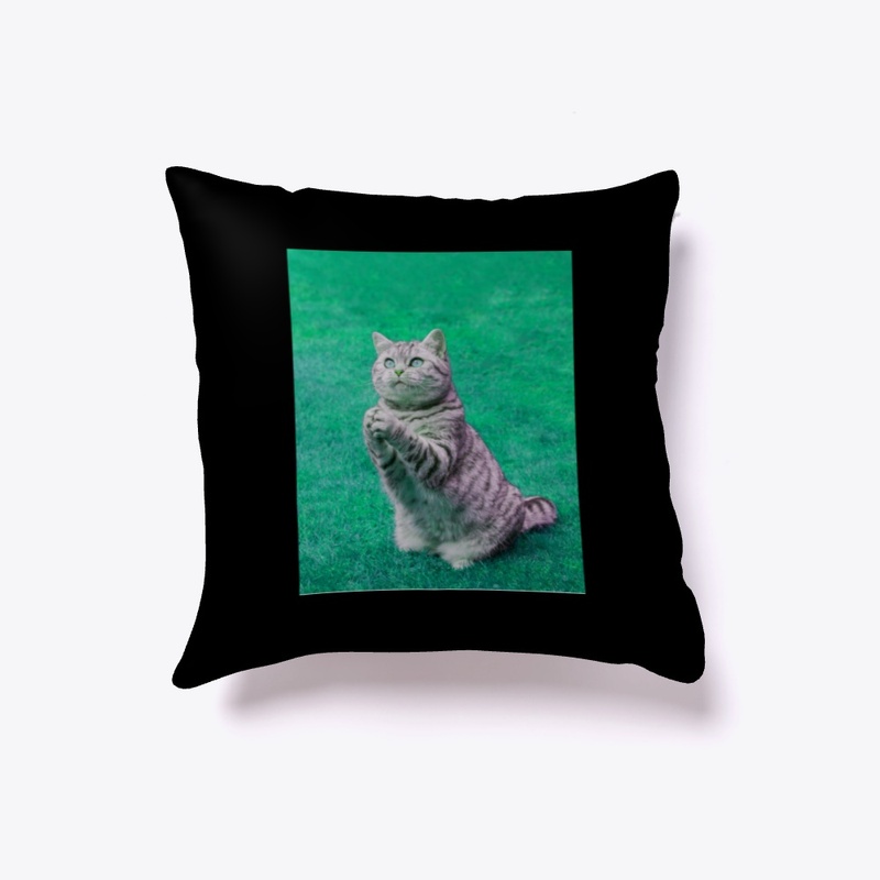 Green Praying Cat