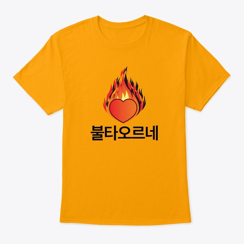 Kpop Bultaoreune Burning Fire shirt