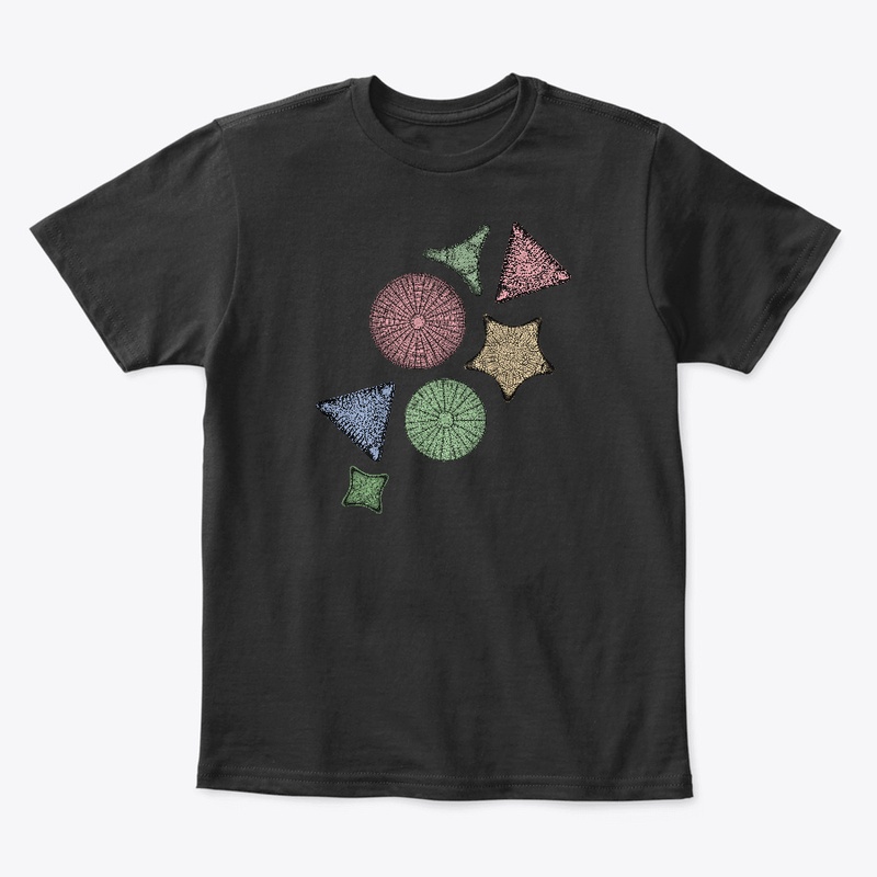 Diatoms - Marine Biology Art