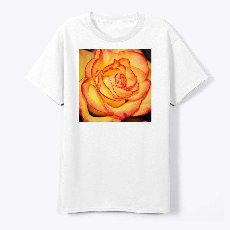 Bright Orange Rose