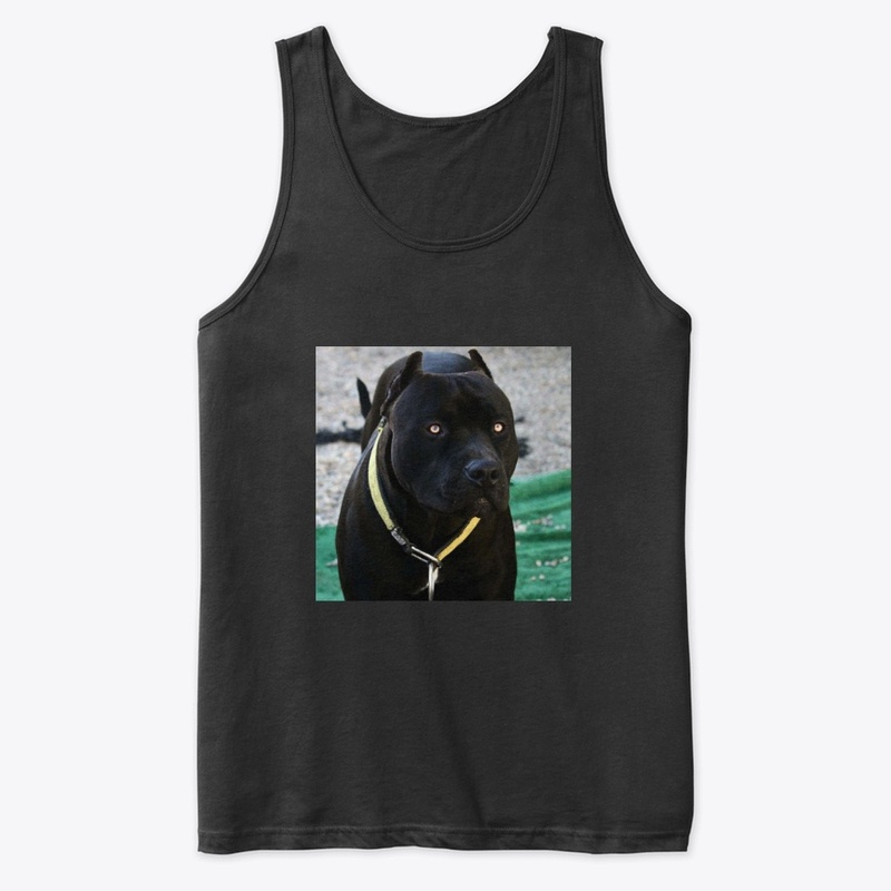Pitbulls Black