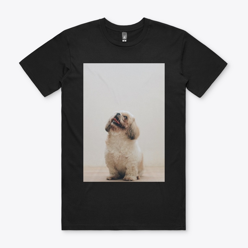 GOOD  DOG