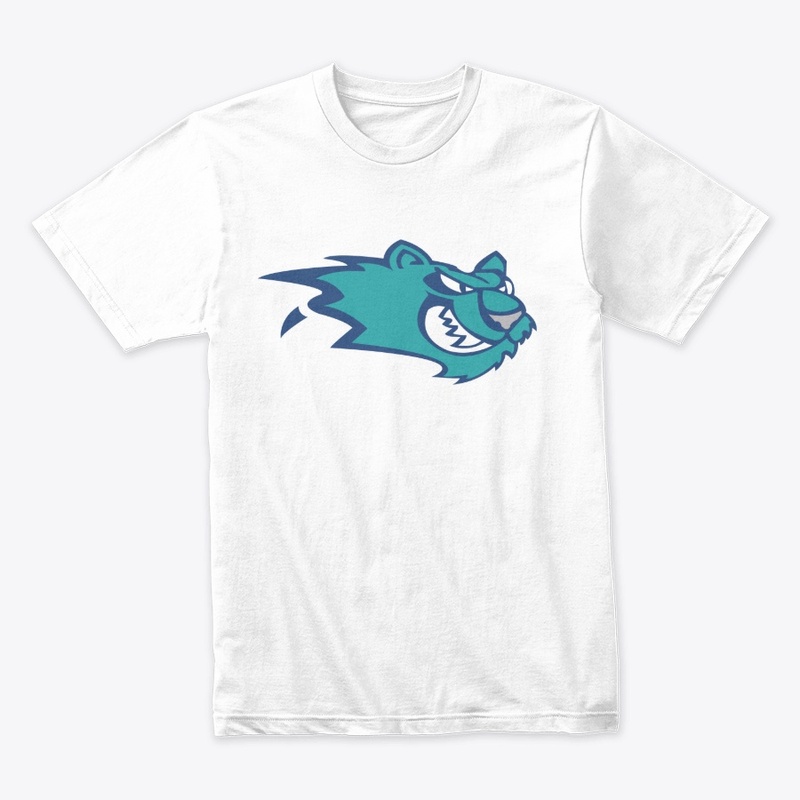 Worcester IceCats Hockey