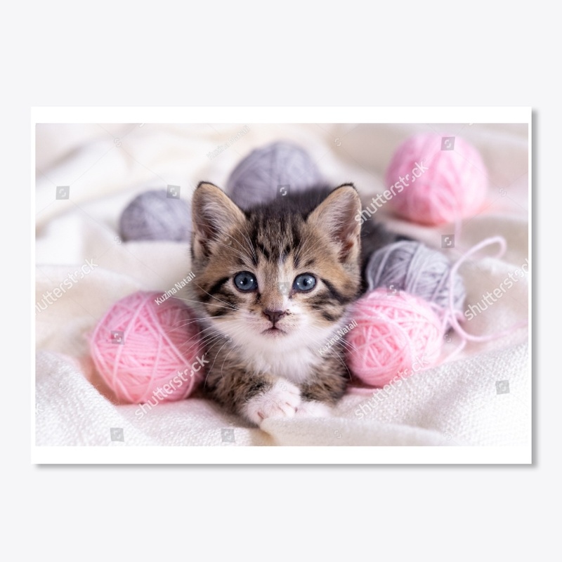 Kitten and happiness meet.