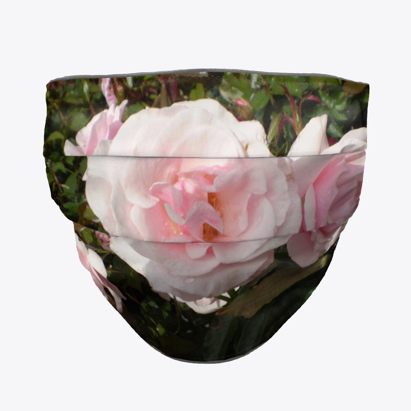 pink roses