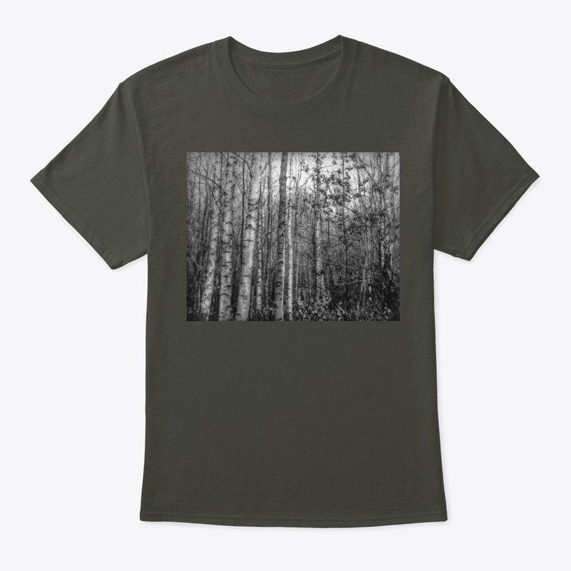 Silver Birch