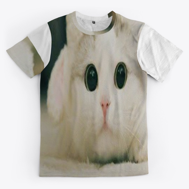 cute cat