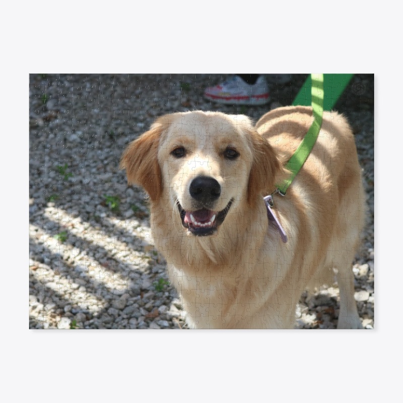 Dog 3