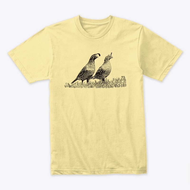 California Quail Birdwatching
