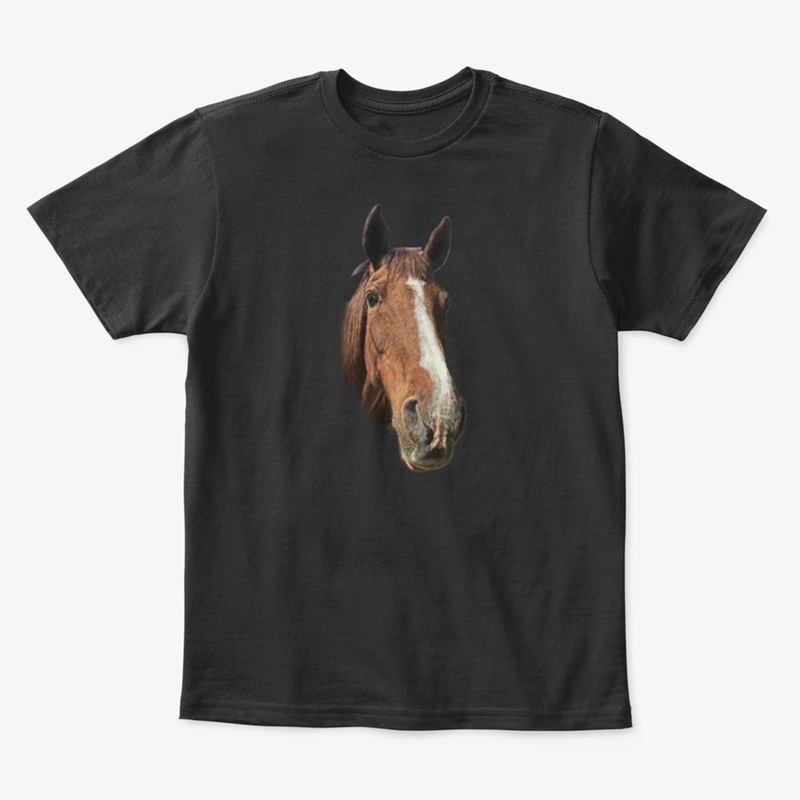 Horse Portrait No 1 - Horse