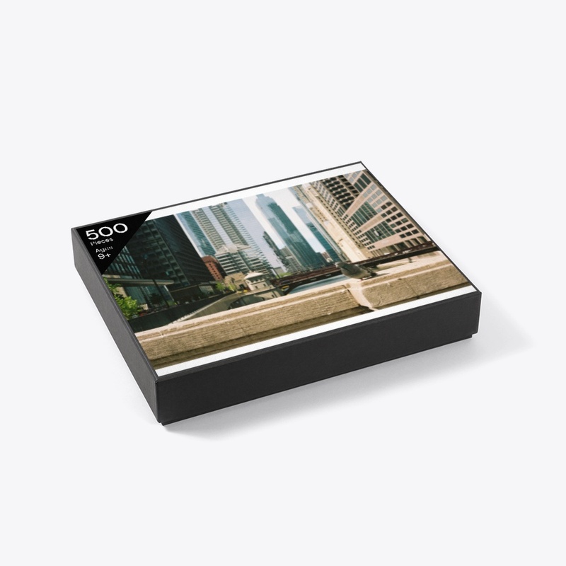Chicago Pigeon Puzzle