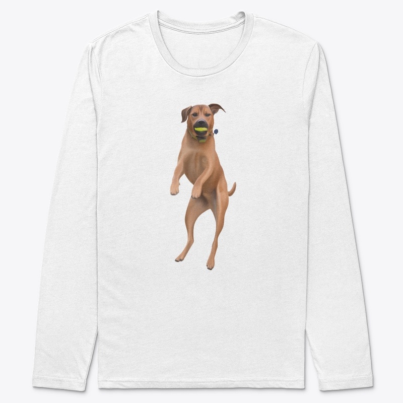 Jumping Dog with Ball