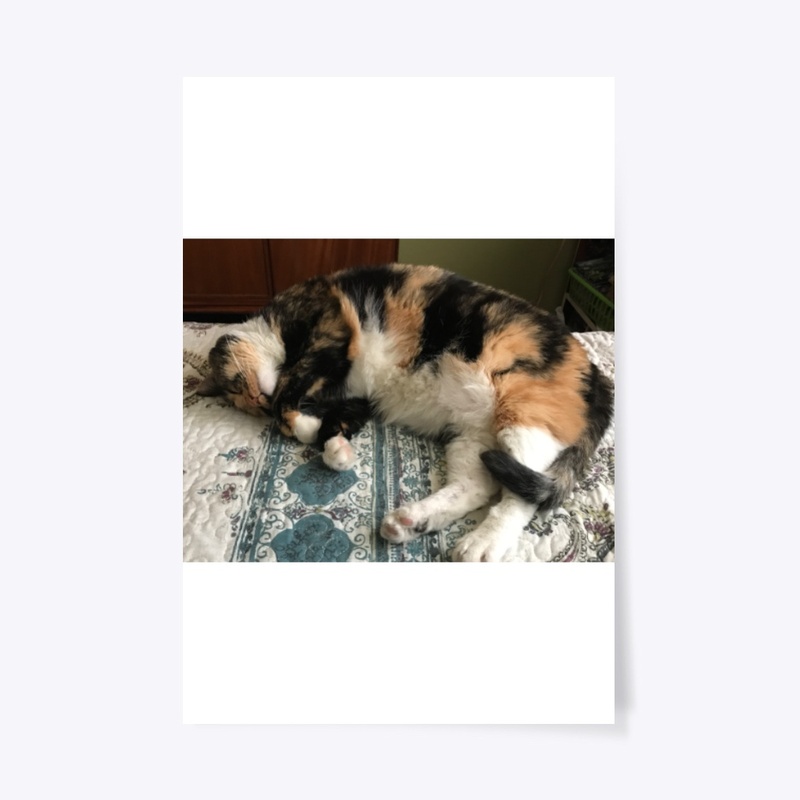 Angel Cat Sleeping Peacefully