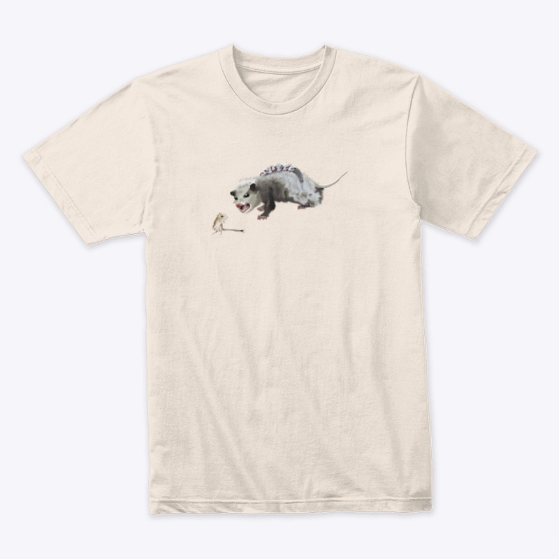 Opossum Mom & Rocket