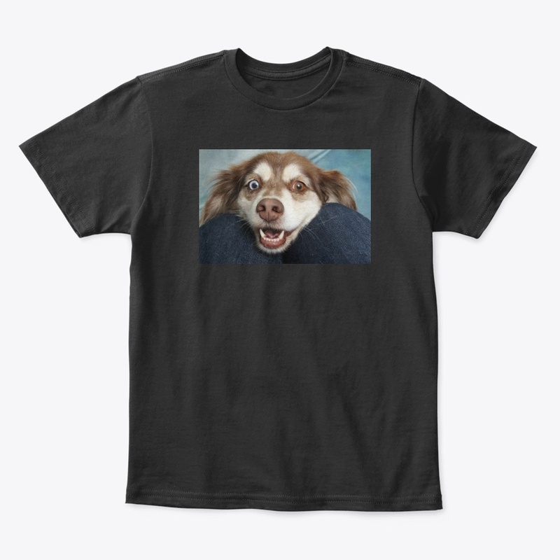 dog  🐕