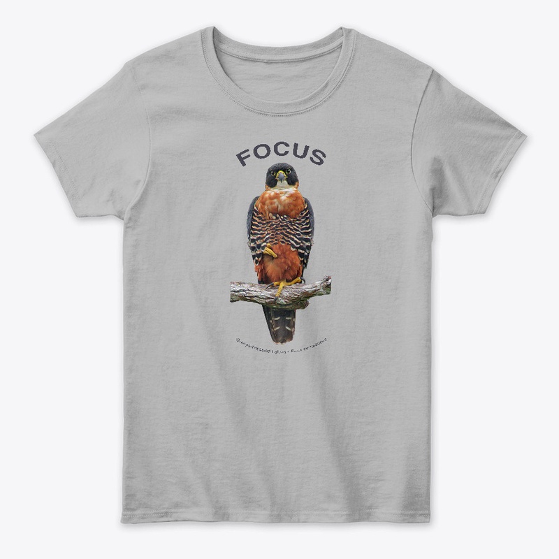 Focus: Orange-breasted Falcon