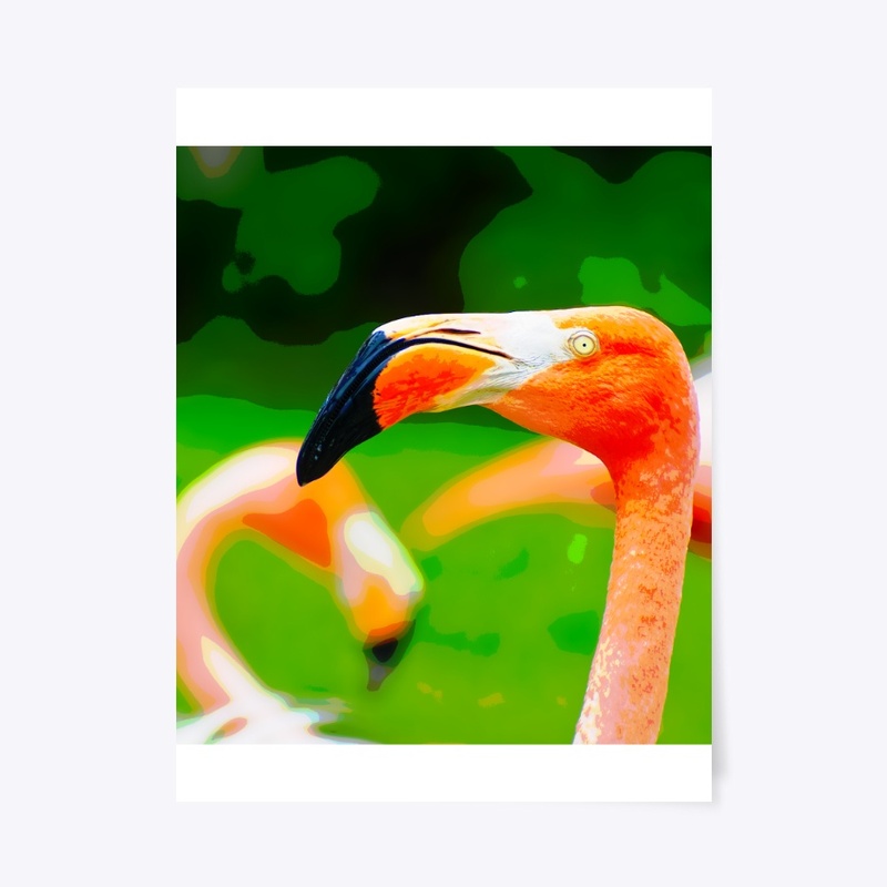 I See You Flamingo by Michelle