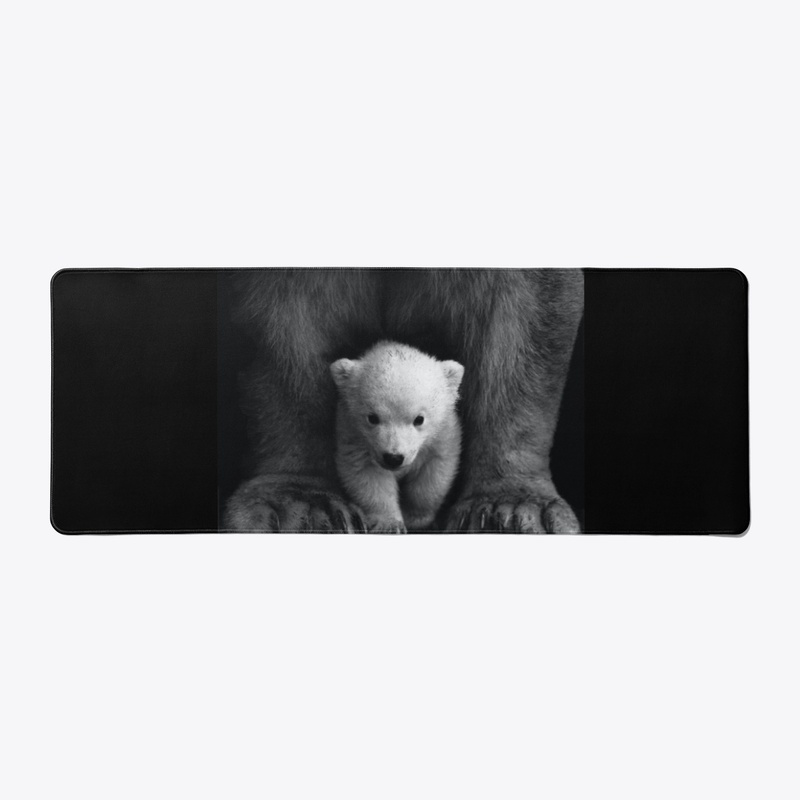 The Bear