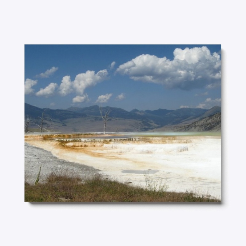 Yellowstone Salt Flats