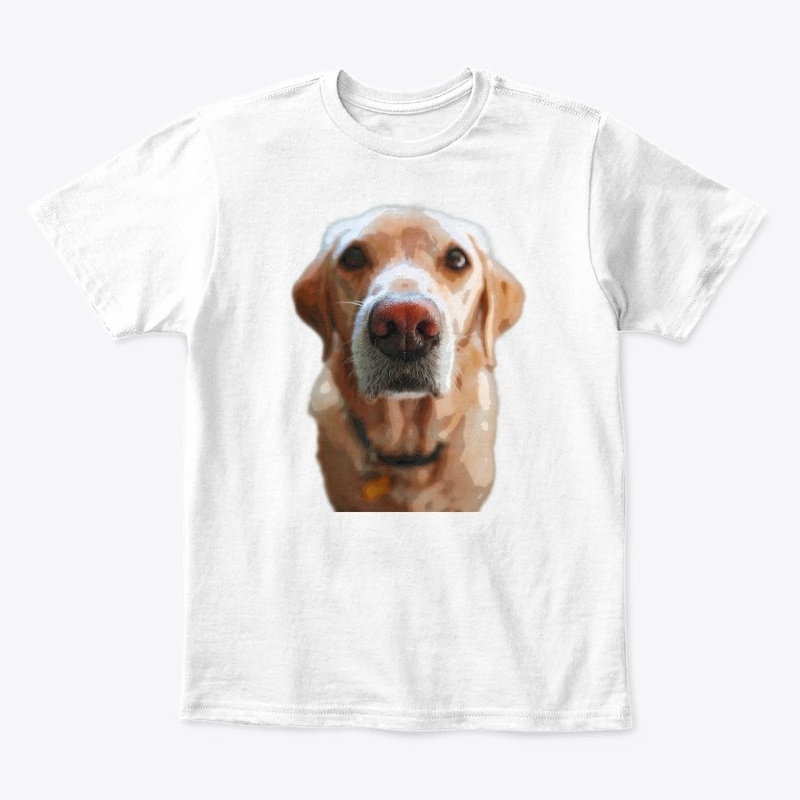 Golden Labrador