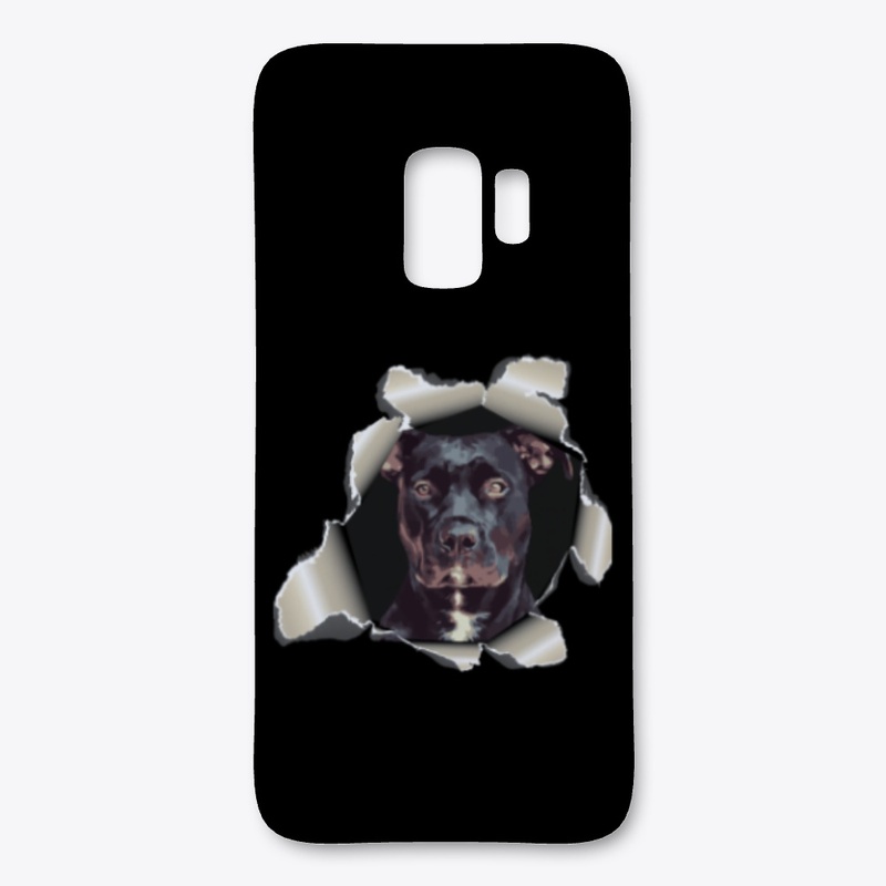 Pitbull Through A Hole