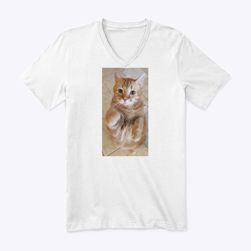 Morris the Cat Collection