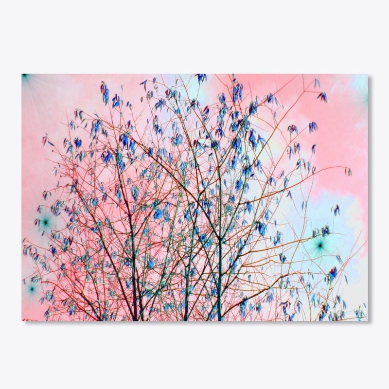 pink sky blue tree