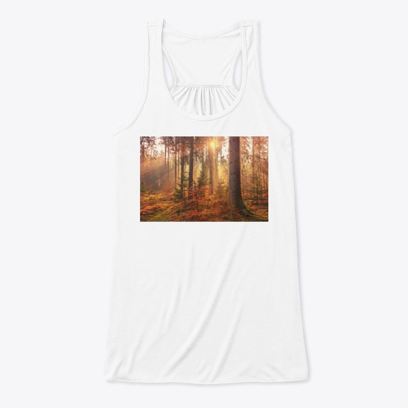 Value12 Sunshine in the forest