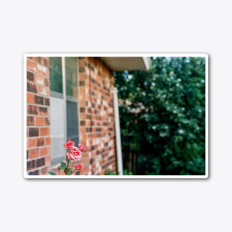 Nanny's Window