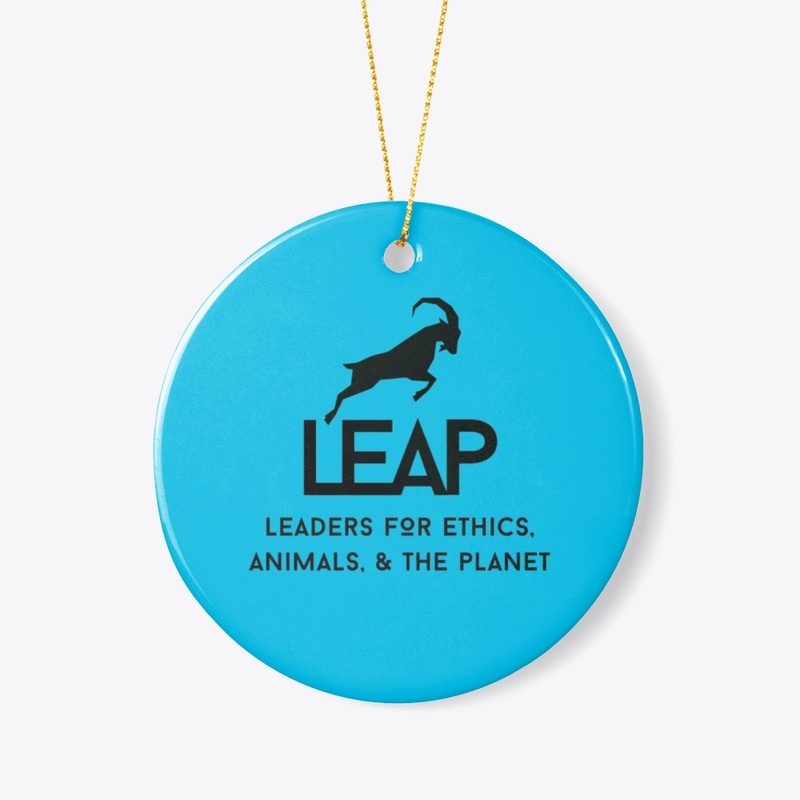 LEAP Logo Merch