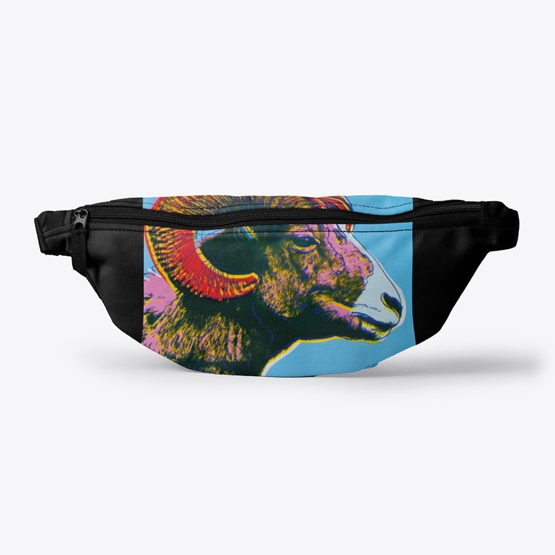 Everyday Ecofriendly Hoodie & Things