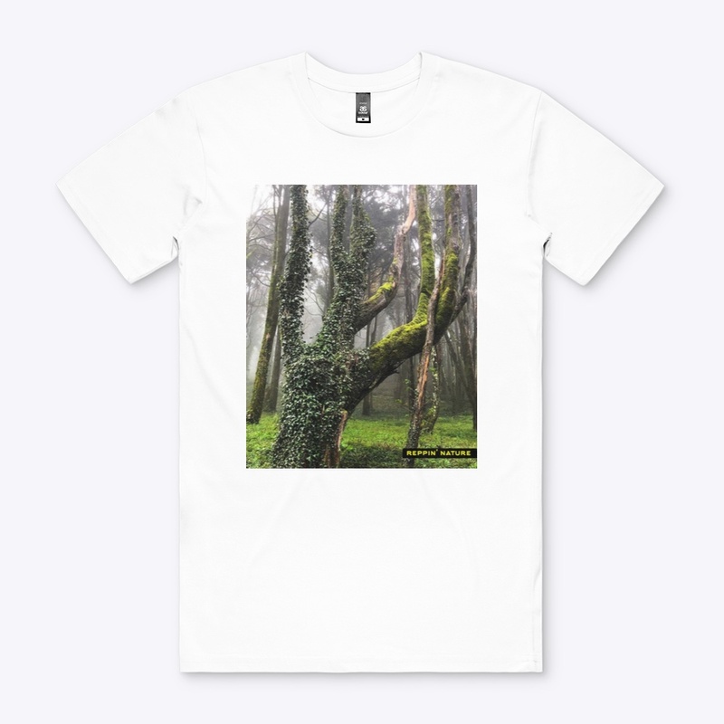 the hand of the forest 