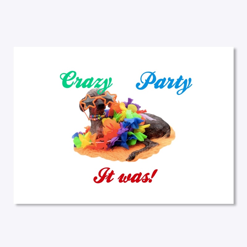 crazy party dog