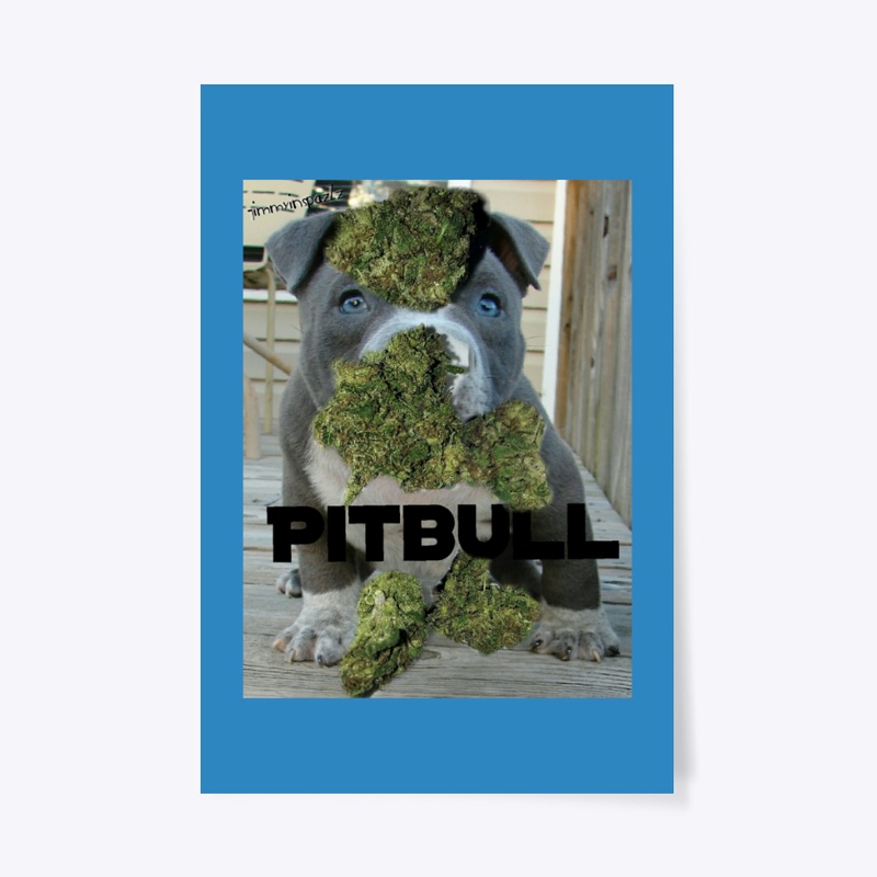 jimmyinspazZz Pitbull Collection #2