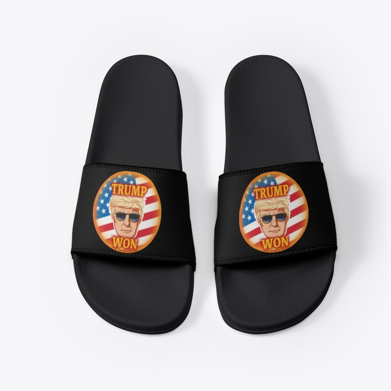 TRUMP WON SLIDES