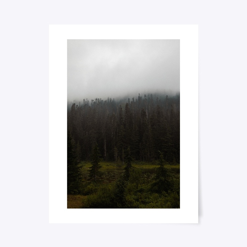 Fog
