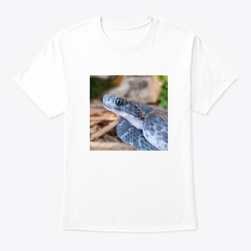 SQUAM