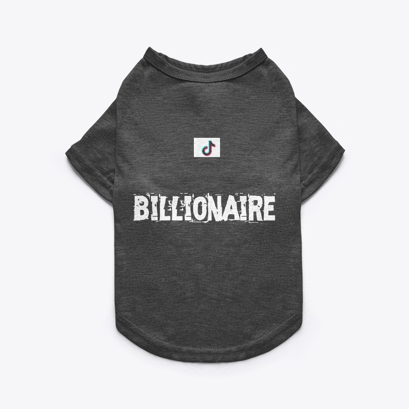 Billionaire culture