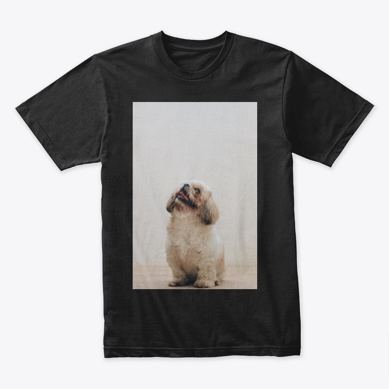 GOOD  DOG