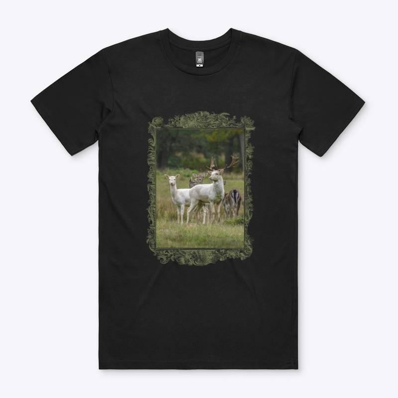 Pure Wildlife Lovers: White Fallow Deer