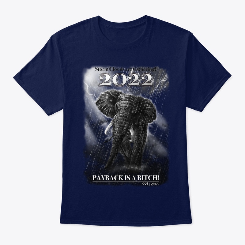 PAYBACK IS A BITCH 2 Classic Tee