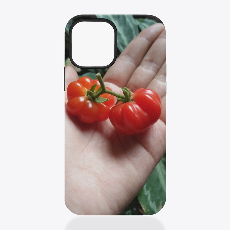 tomato case
