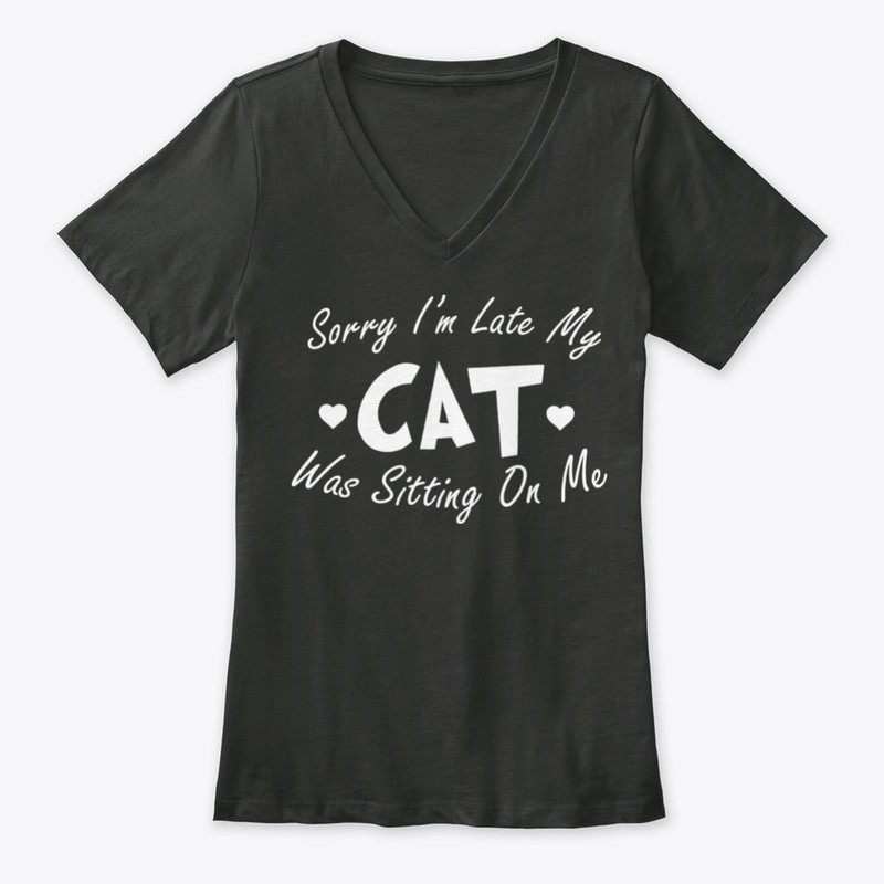 My Cat Was Sitting On Me Shirt