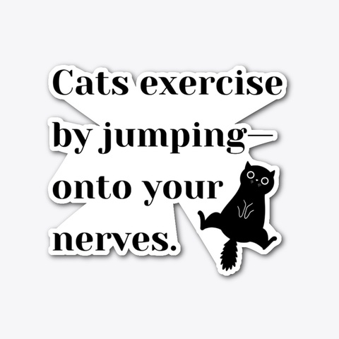 Perfect Gift For Cat Lovers! Standard T-Shirt Front