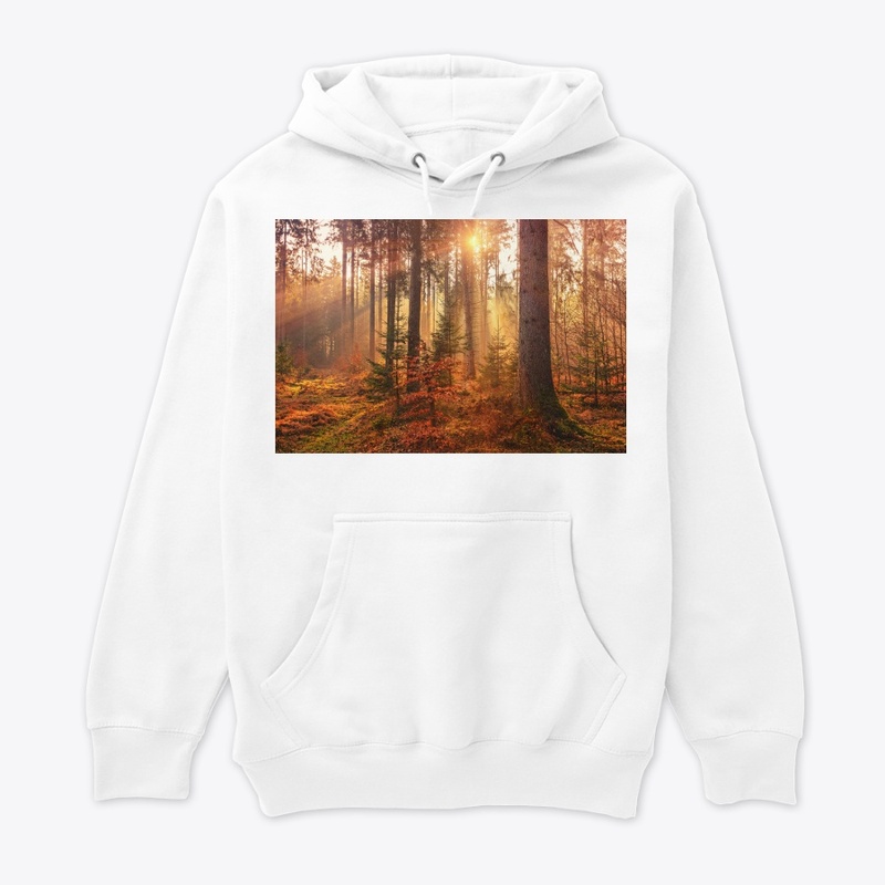Value12 Sunshine in the forest