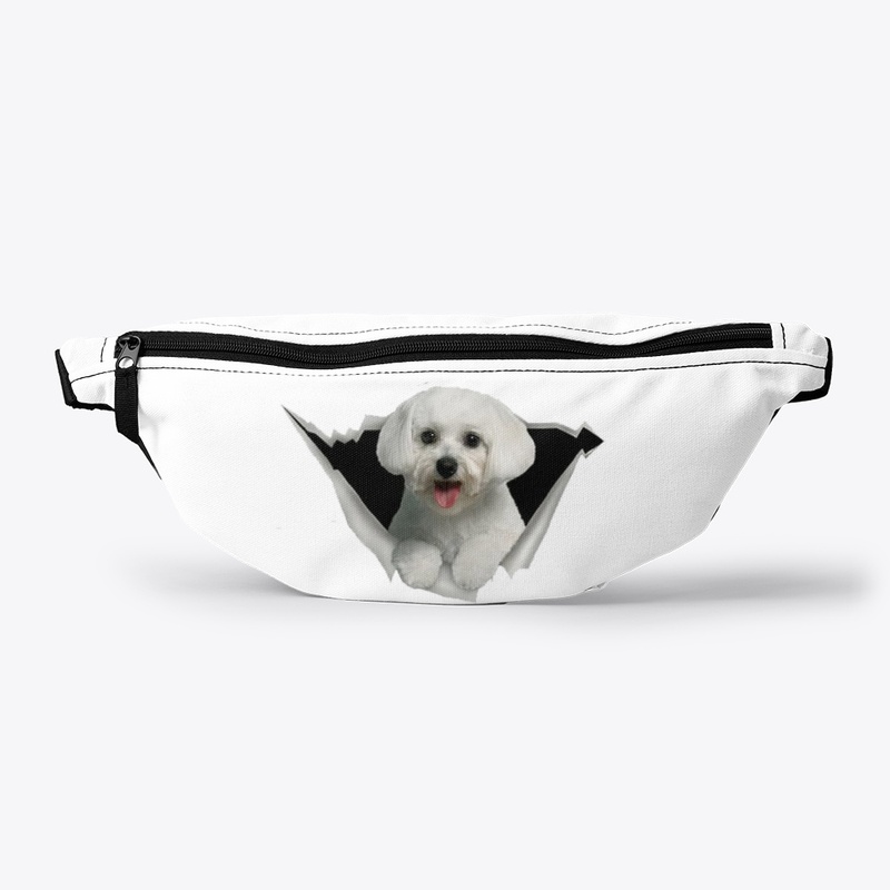 Cute maltese sticker